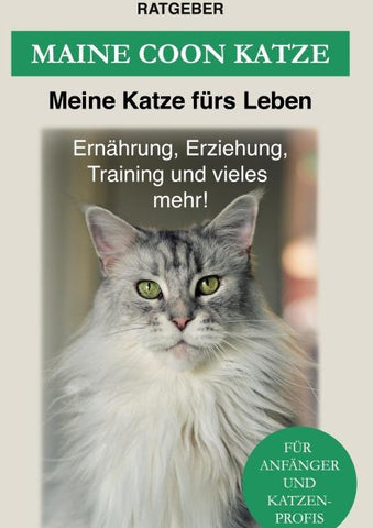 Maine Coon