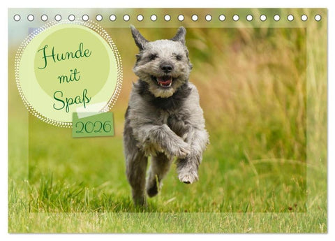 Hunde mit Spaß (Tischkalender 2026 DIN A5 quer), CALVENDO Monatskalender