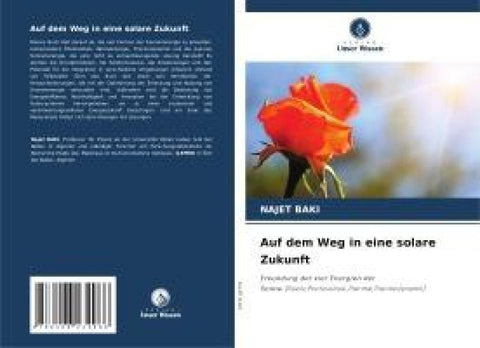 Auf dem Weg in eine solare Zukunft