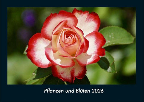 Pflanzen und Blüten 2026 Fotokalender DIN A4
