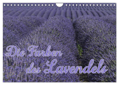 Die Farbe des Lavendels (Wandkalender 2026 DIN A4 quer), CALVENDO Monatskalender
