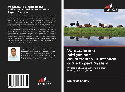 Valutazione e mitigazione dell'arsenico utilizzando GIS e Expert System