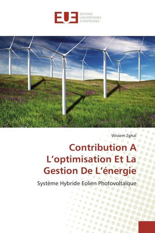 Contribution A L'optimisation Et La Gestion De L'énergie