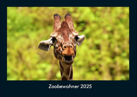 Zoobewohner 2025 Fotokalender DIN A4