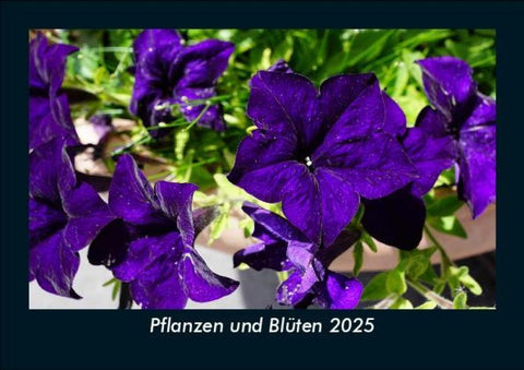 Pflanzen und Blüten 2025 Fotokalender DIN A5