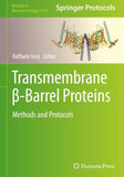 Transmembrane β-Barrel Proteins