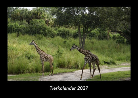 Tierkalender 2027 Fotokalender DIN A3