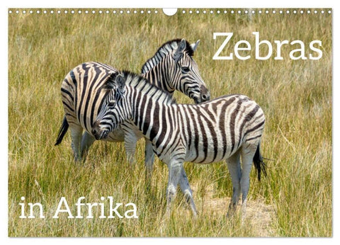 Zebras in Afrika (Wandkalender 2026 DIN A3 quer), CALVENDO Monatskalender