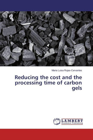 Reducing the cost and the processing time of carbon gels