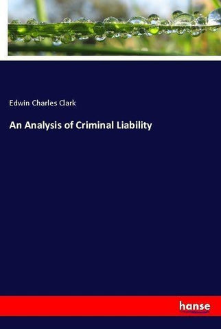 An Analysis of Criminal Liability