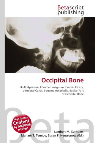 Occipital Bone