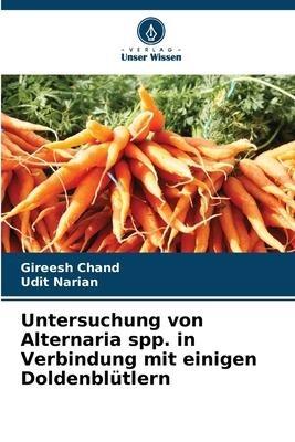 Untersuchung von Alternaria spp. in Verbindung mit einigen Doldenblütlern