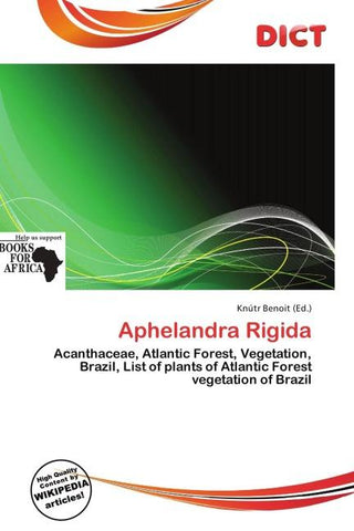 Aphelandra Rigida