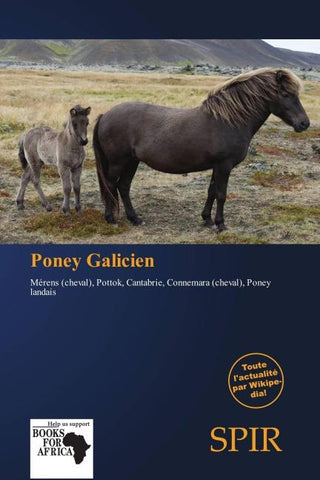 Poney Galicien