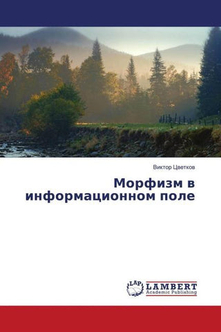 Morfizm w informacionnom pole