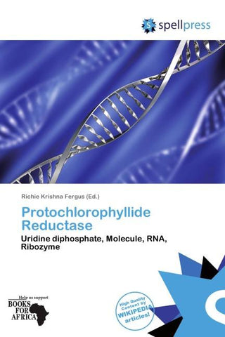 Protochlorophyllide Reductase