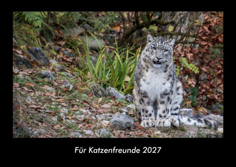 Für Katzenfreunde 2027 Fotokalender DIN A3