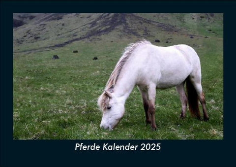 Pferde Kalender 2025 Fotokalender DIN A5