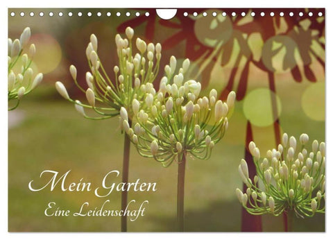 Mein Garten Eine Leidenschaft (Wandkalender 2026 DIN A4 quer), CALVENDO Monatskalender