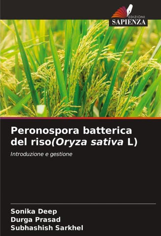 Peronospora batterica del riso(Oryza sativa L)