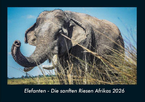 Elefanten - Die sanften Riesen Afrikas 2026 Fotokalender DIN A4