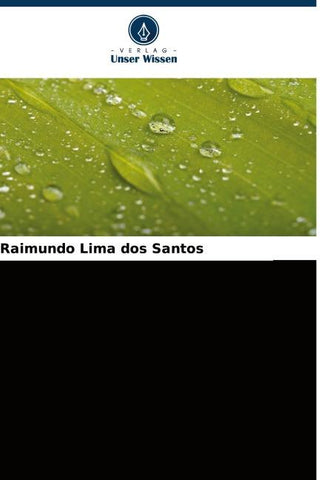 Das Projekt Grande Carajás und die extraktive Kultur in Maranhão
