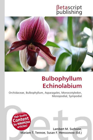Bulbophyllum Echinolabium