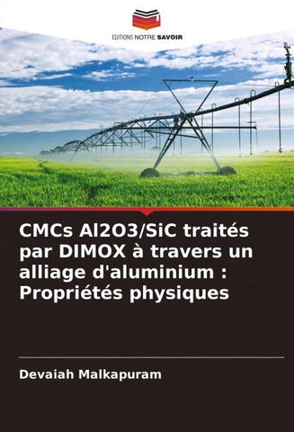 CMCs Al2O3/SiC traités par DIMOX à travers un alliage d'aluminium : Propriétés physiques