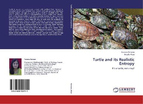 Turtle and its Realistic Entropy