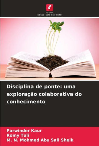 Disciplina de ponte: uma exploração colaborativa do conhecimento