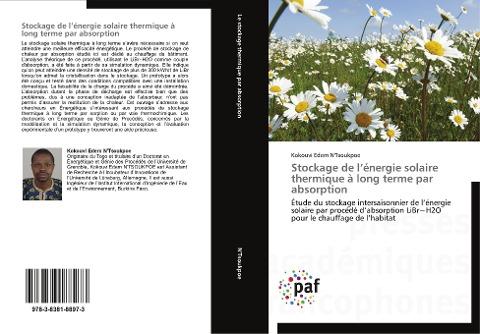 Stockage de l'énergie solaire thermique à long terme par absorption