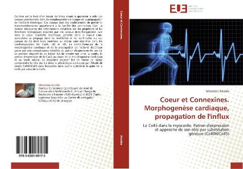 Coeur et Connexines. Morphogenèse cardiaque, propagation de l'influx