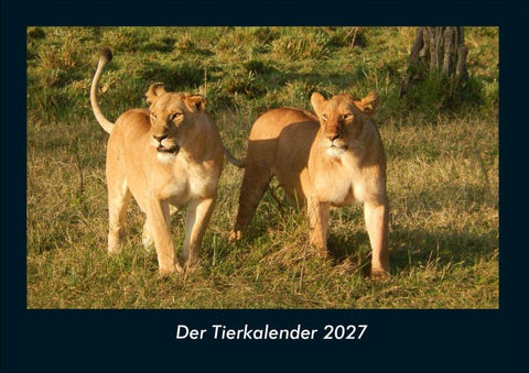 Der Tierkalender 2027 Fotokalender DIN A4