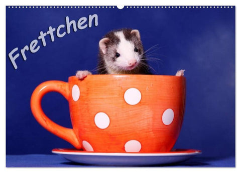 Frettchen - Ferrets (Wandkalender 2026 DIN A2 quer), CALVENDO Monatskalender