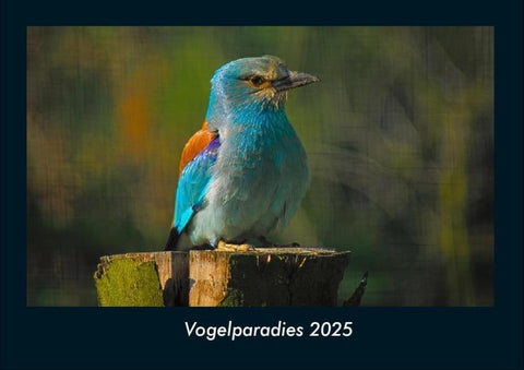 Vogelparadies 2025 Fotokalender DIN A4