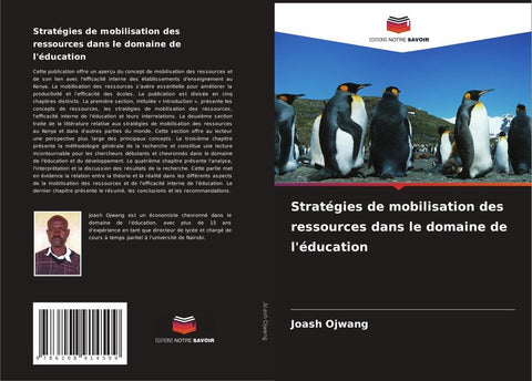 Stratégies de mobilisation des ressources dans le domaine de l'éducation