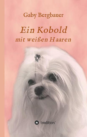 Ein Kobold mit weißen Haaren