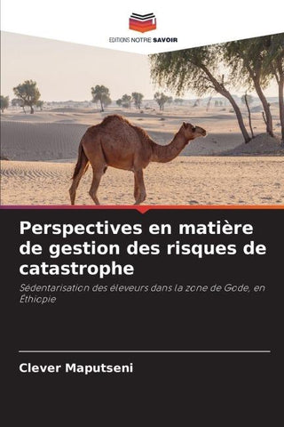 Perspectives en matière de gestion des risques de catastrophe