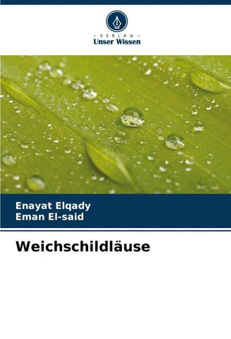 Weichschildläuse