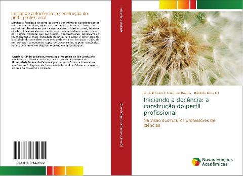 Iniciando a docência: a construção do perfil profissional