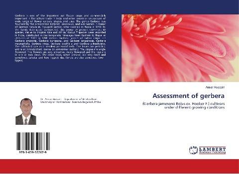 Assessment of gerbera