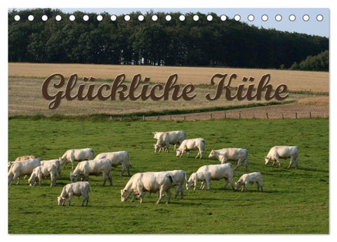 Glückliche Kühe (Tischkalender 2026 DIN A5 quer), CALVENDO Monatskalender