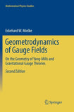 Geometrodynamics of Gauge Fields