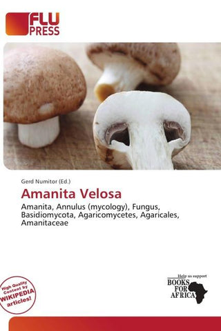 Amanita Velosa