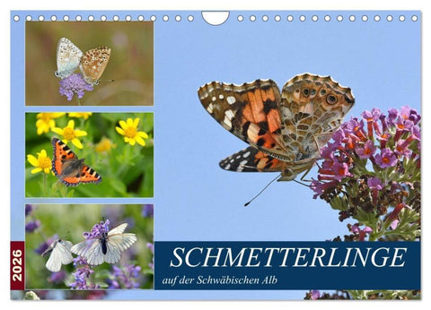 Schmetterlinge auf der Schwäbischen Alb (Wandkalender 2026 DIN A4 quer), CALVENDO Monatskalender