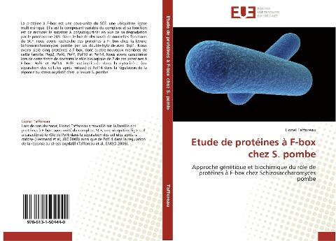 Etude de protéines à F-box chez S. pombe
