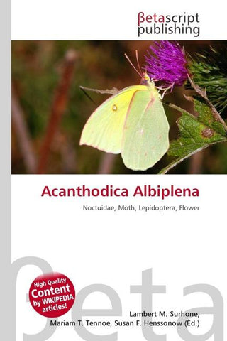 Acanthodica Albiplena
