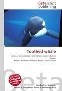 Toothed whale