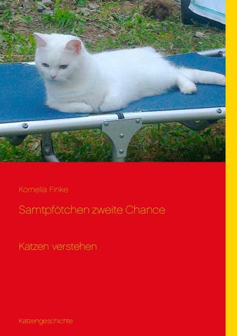Samtpfötchen zweite Chance