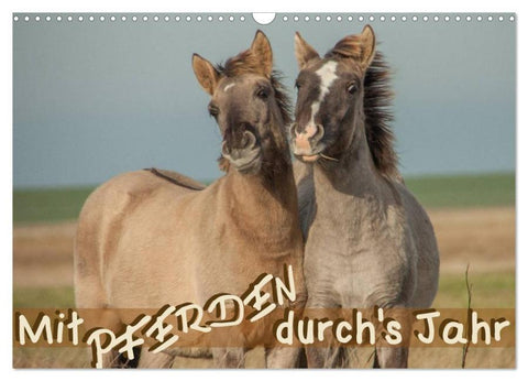 Mit Pferden durch´s Jahr (Wandkalender 2026 DIN A3 quer), CALVENDO Monatskalender